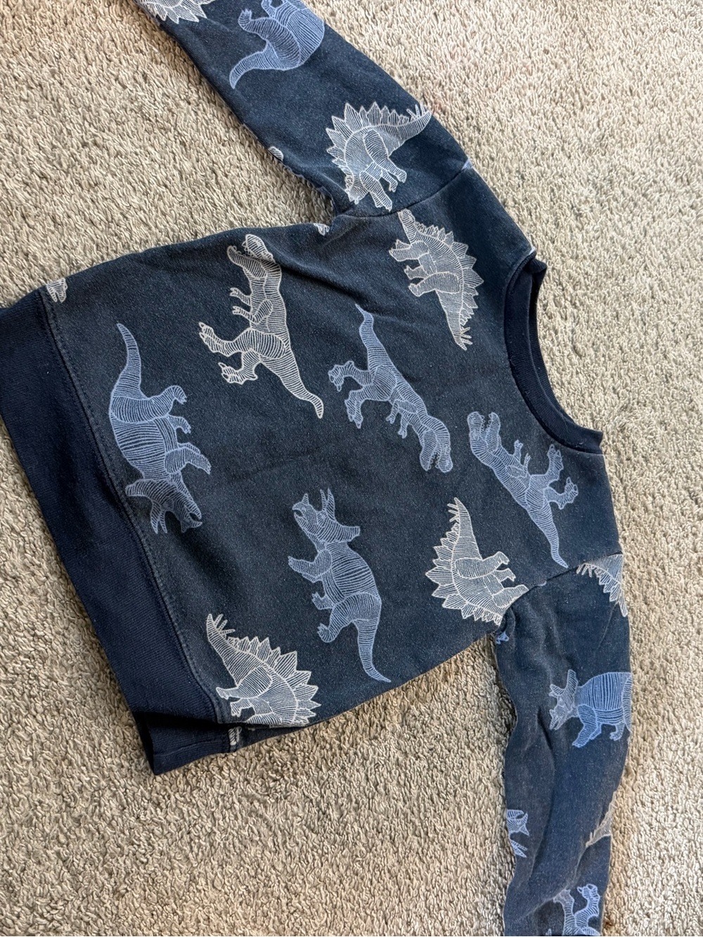 Cat & Jack Navy Sweatshirt with Light Blue Dinosaur Print